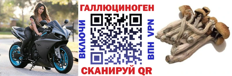 Галлюциногенные грибы прущие грибы  наркотики  Братск 